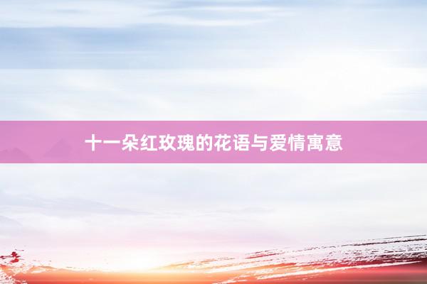 十一朵红玫瑰的花语与爱情寓意